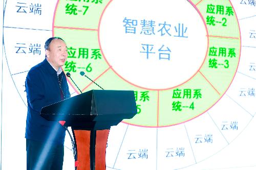 中国标准化